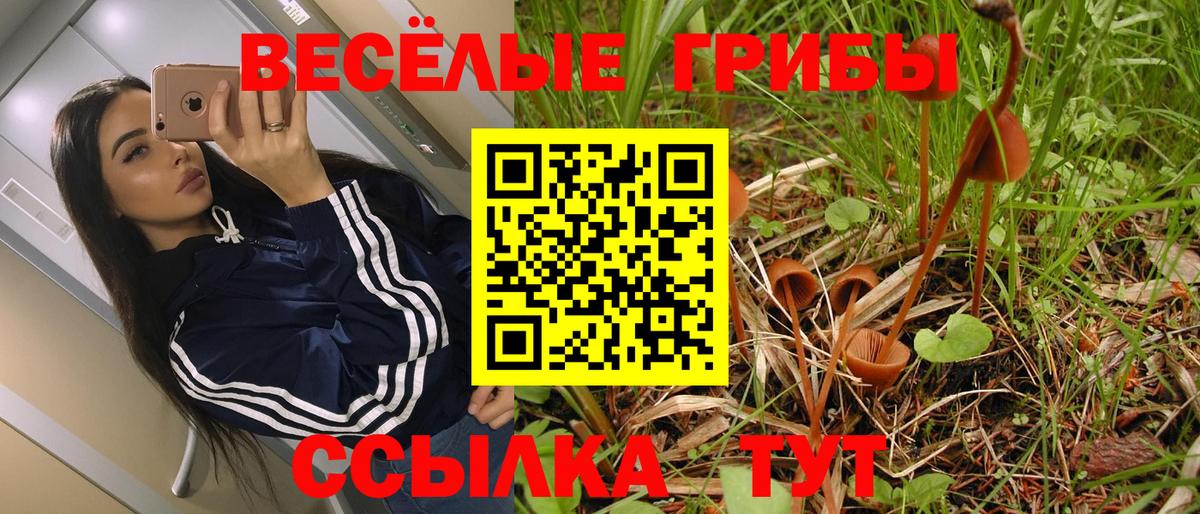 Псилоцибиновые грибы Magic Shrooms Рыбинск