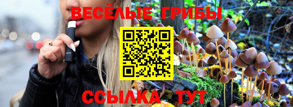 Галлюциногенные грибы MAGIC MUSHROOMS  Вход с VPN  закладка  Рыбинск 